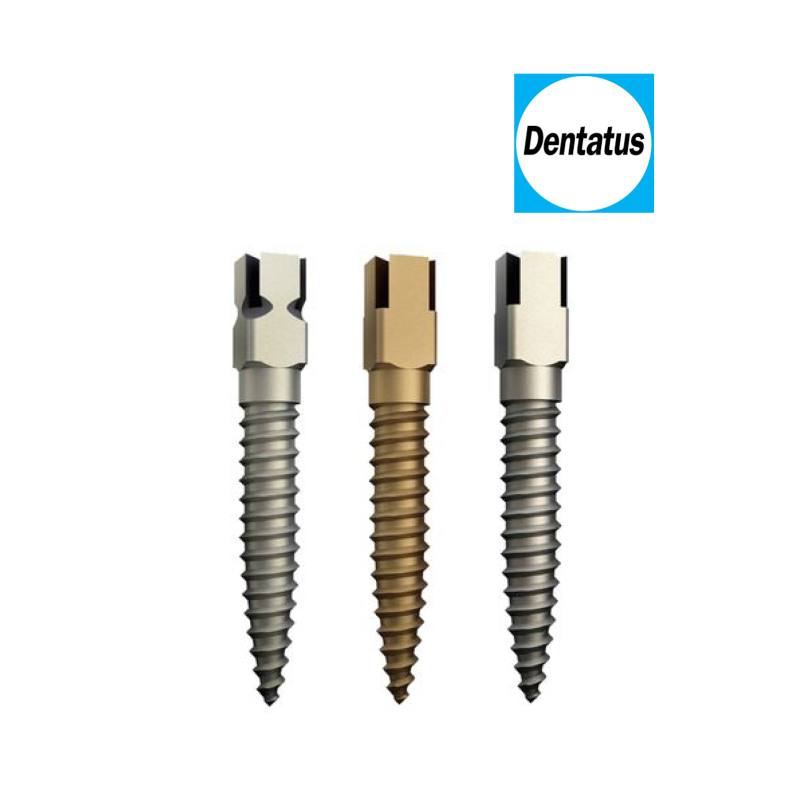 CLE CARREE POUR SCREW POSTS NLH           DENTATUS