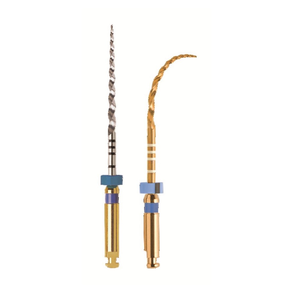 PRO-TAPER GOLD STERILES 21MM F1 (6)      MAILLEFER