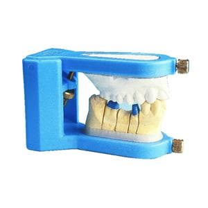 ARTICULATEUR CUP BLEU                  EURO-DENTIS