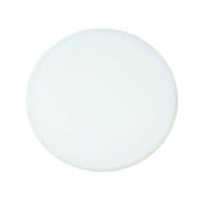 ELEMENT DISQUE EN CIRE 98,5MM BLANC 14MM DENTIFY