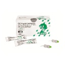 FUJI II CAPSULES NO22,5 BOITE DE 50             GC