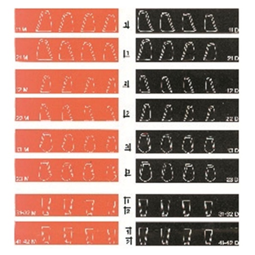 [53-312-78] COFORM DIRECTA 8 MATRICES 11 D             DIRECTA