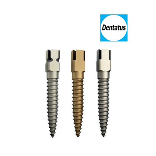 [52-146-68] CLE CARREE POUR SCREW POSTS NLH           DENTATUS