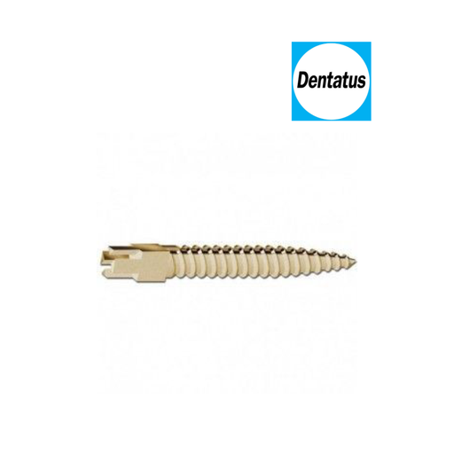 [79-146-68] CLE EN CROIX POUR SCREW POSTS NLK         DENTATUS