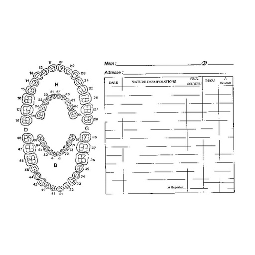 [43-027-78] FICHES DENTAIRES NO 2 BOITE DE 200        DROUAIRE