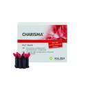 CHARISMA PLT 1 X 10 X 0,25G OA2             KULZER