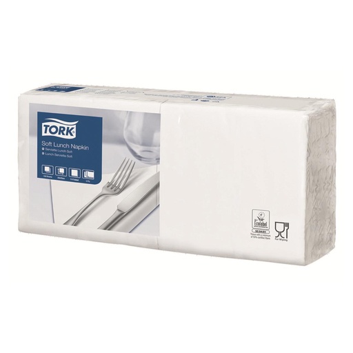 [65-010-59] # SERVIETTES BLANCHES 2 PLIS 30X30 CARTON (48X100)