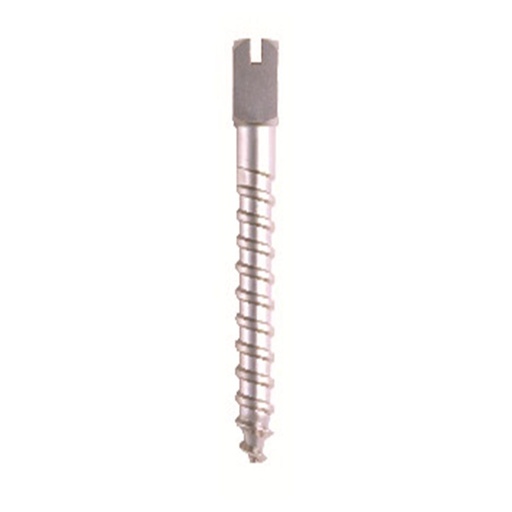 [77-217-78] CLE POUR SCREW-POSTS CARREE CREUSE 5303   ANTHOGYR