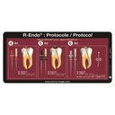 R-ENDO ENDO PLAQUETTE REASSORT R3 (6)    MICROMEGA