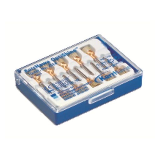 [530-36-88] OPTISHINE BROSSETTES A POLIR 2513 (3)         HAWE