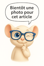 [68-400-98] FILL-UP KIT ECONOMIQUE      REF 60019355   COLTENE